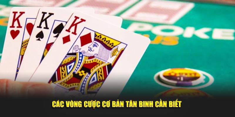 Các vòng cược cơ bản tân binh cần biết 