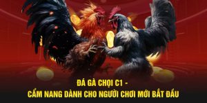 Đá Gà Chọi C1 ABC8 - Cẩm Nang Dành Cho Tân Binh Mới