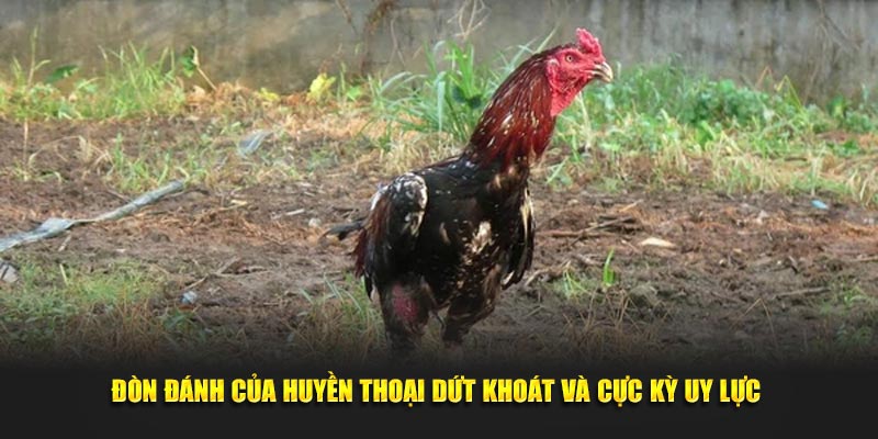 Đòn đánh của huyền thoại dứt khoát và cực kỳ uy lực 