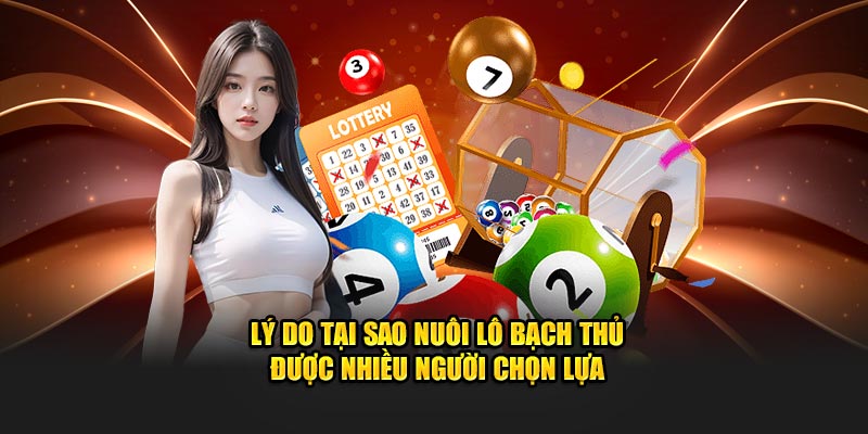 Lý do tại sao nuôi lô bạch thủ được nhiều người chọn lựa