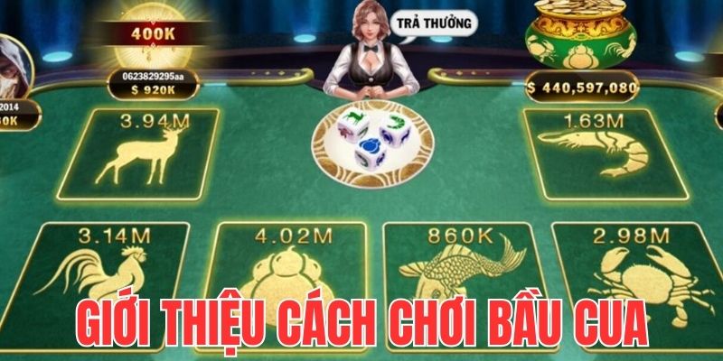 Giới thiệu cách chơi bầu cua online cơ bản cần nhớ