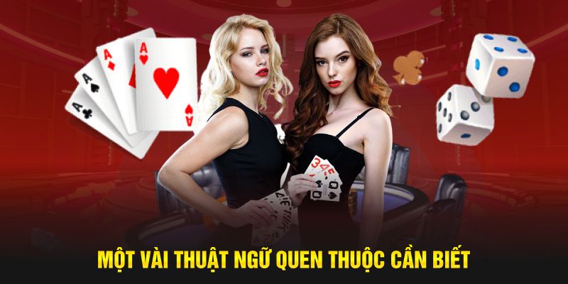 Một vài thuật ngữ quen thuộc cần biết