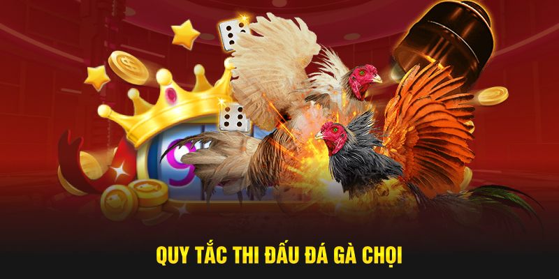 Quy tắc thi đấu cụ thể từ đá gà chọi C1 ABC8 