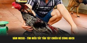 Xám Messi - Tìm Hiểu Tất Tần Tật Chiến Kê Cùng ABC8